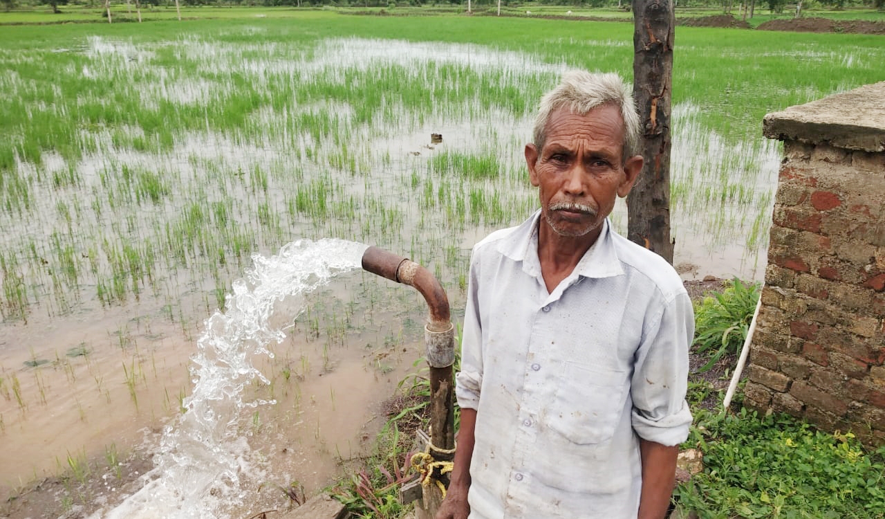 तीन वर्षों में 95 हजार 643 सिंचाई पम्पों को दिए गए बिजली कनेक्शन