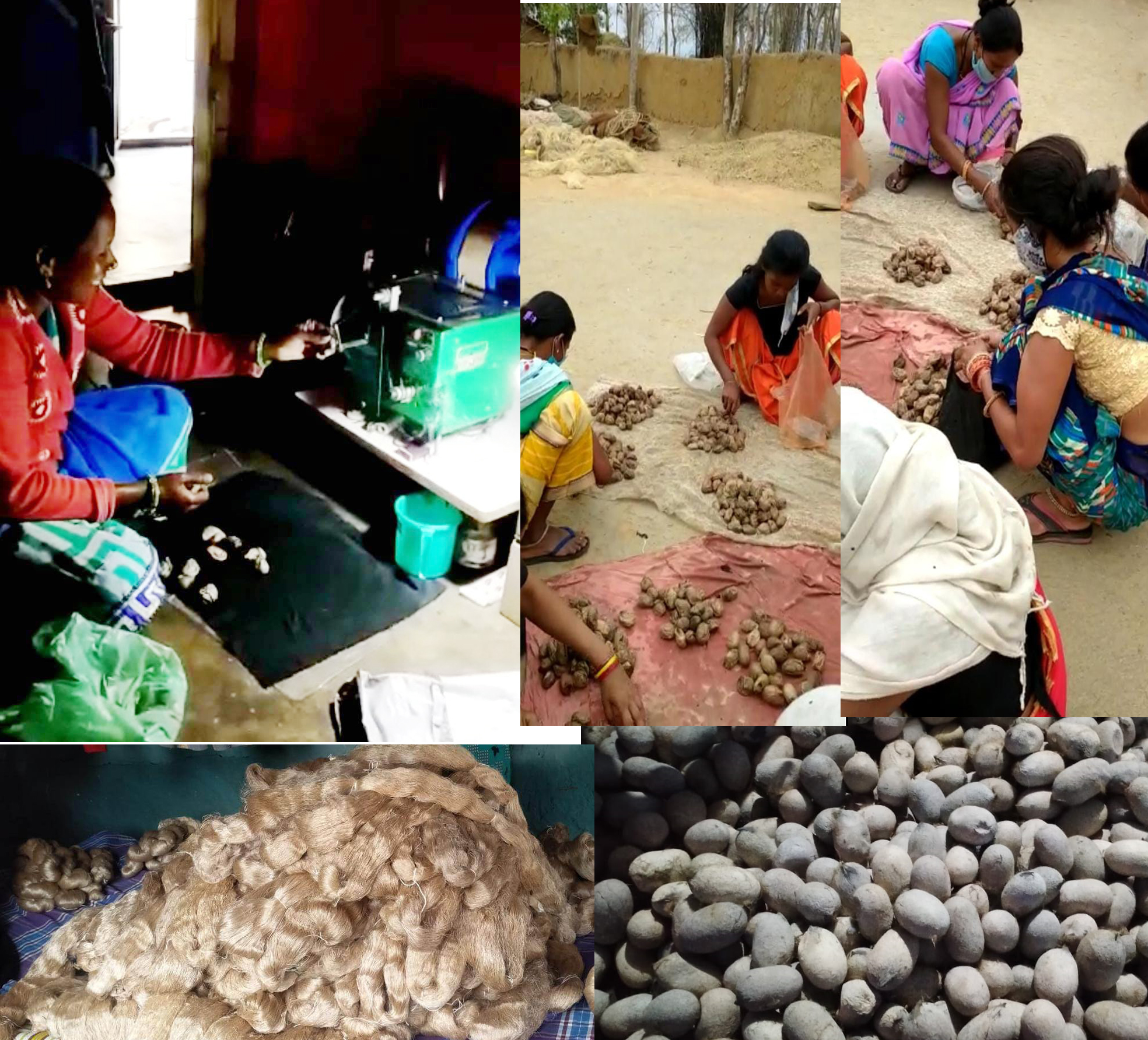 रेशमी धागों से संवर रही जिंदगी : बिहान में कोसा धागाकरण बना आय का जरिया