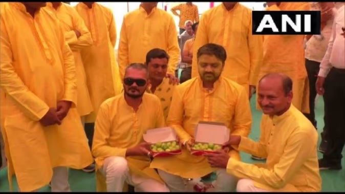 तोहफे में नींबू : गुजरात की शादी में दूल्हे को मिला अजीब उपहार