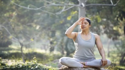 अनुलोम-विलोम प्राणायाम करने के हैं बहुत लाभ, खून साफ होता, शरीर में आता हल्का पन