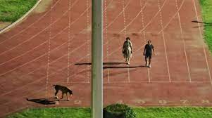 आईएएस को घुमाना था कुत्ता, खाली करवा दिया स्टेडियम