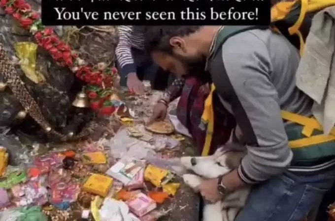 नोएडा का शख्स कुत्ते को ले गया केदारनाथ धाम, मंदिर कमेटी ने दर्ज कराई FIR