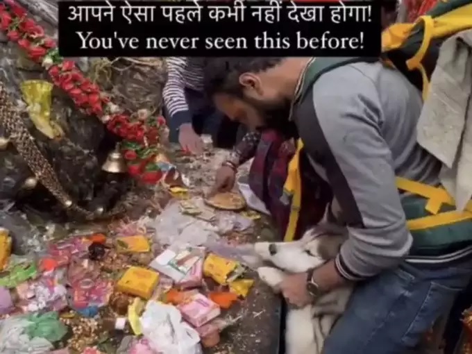 नोएडा का शख्स कुत्ते को ले गया केदारनाथ धाम, मंदिर कमेटी ने दर्ज कराई FIR