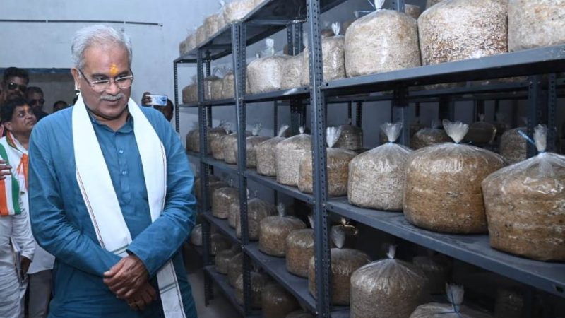 मुख्यमंत्री ने बटवाही गौठान में 20 लाख की लागत से एक हजार बैग की क्षमता वाले मशरूम यूनिट का किया उद्घाटन