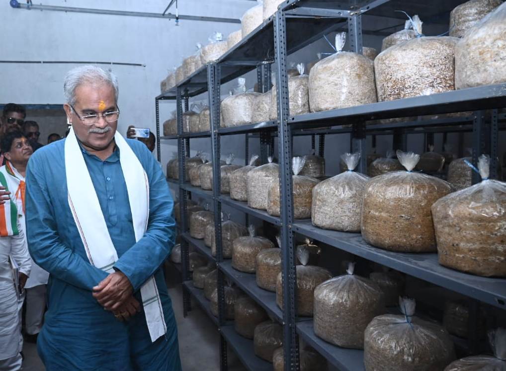 मुख्यमंत्री ने बटवाही गौठान में 20 लाख की लागत से एक हजार बैग की क्षमता वाले मशरूम यूनिट का किया उद्घाटन