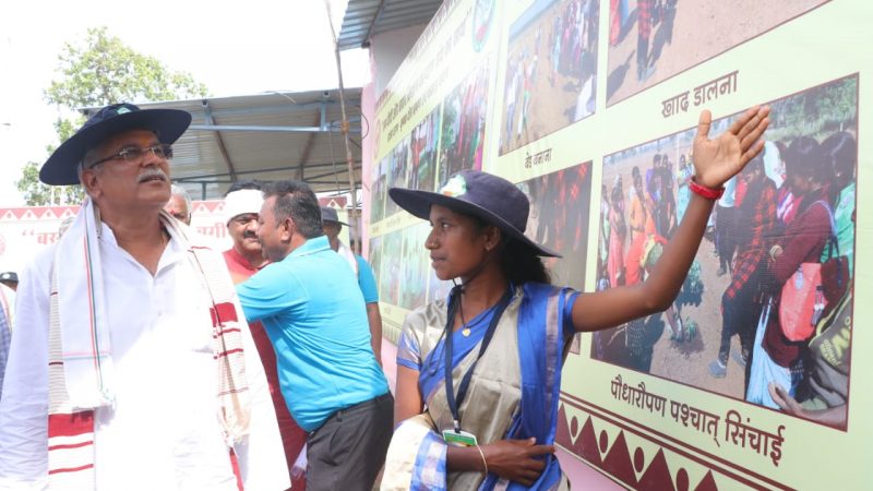 बस्तर की महिलाओं के चट्टानी इरादों से पथरीली जमीन में फूटे पपीते के अंकुर