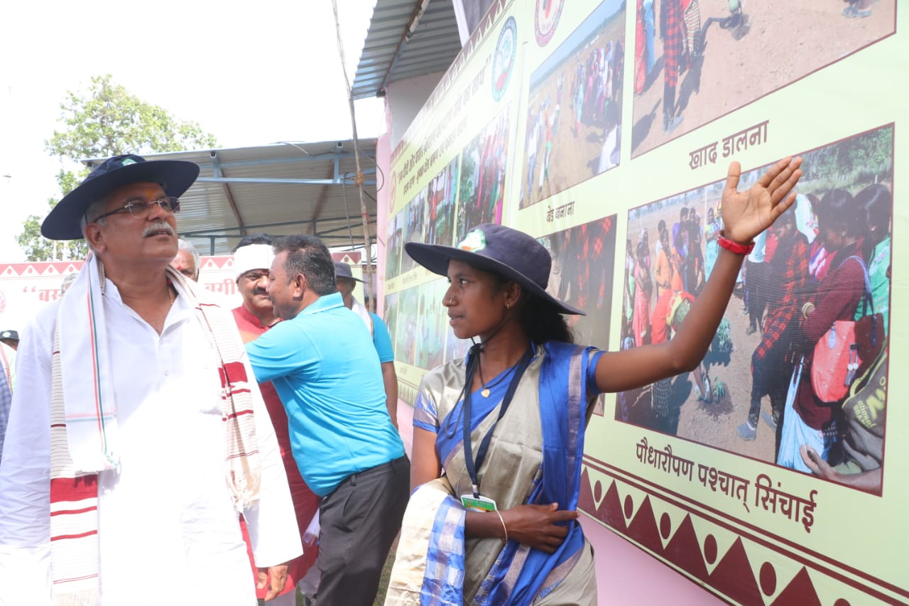 बस्तर की महिलाओं के चट्टानी इरादों से पथरीली जमीन में फूटे पपीते के अंकुर