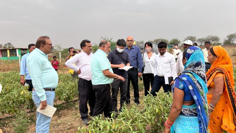 गौठानों का इको सिस्टम देखकर जीका समूह के जापानी अधिकारी हुए प्रभावित
