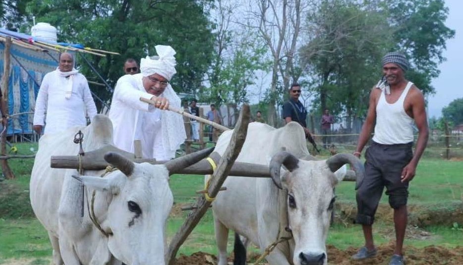 सबसे ज्यादा खाद बनाने और बेचने वाले समूह को किया जाएगा पुरस्कृत : भूपेश बघेल