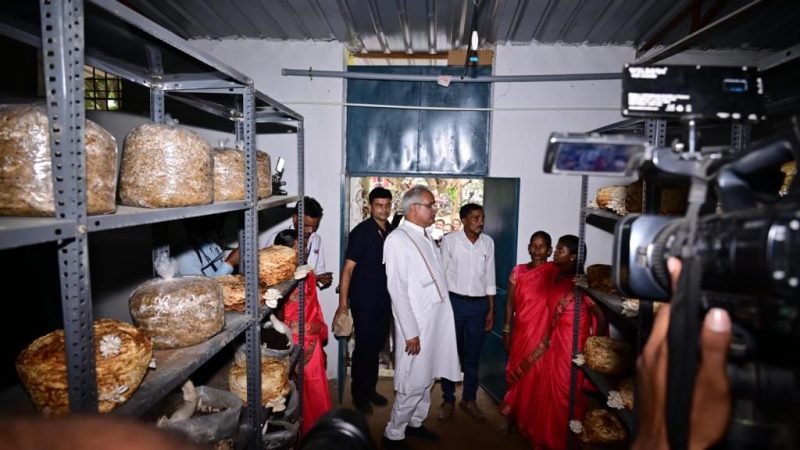 मुख्यमंत्री ने गांधीग्राम में मशरूम उत्पादन व लाख प्रसंस्करण प्रशिक्षण का किया अवलोकन