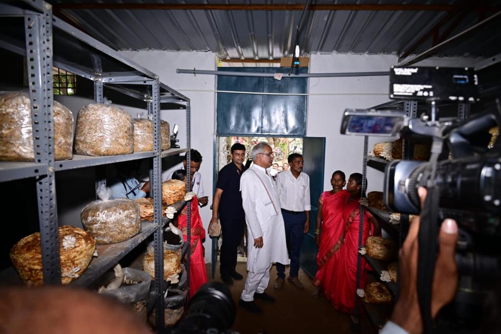 मुख्यमंत्री ने गांधीग्राम में मशरूम उत्पादन व लाख प्रसंस्करण प्रशिक्षण का किया अवलोकन