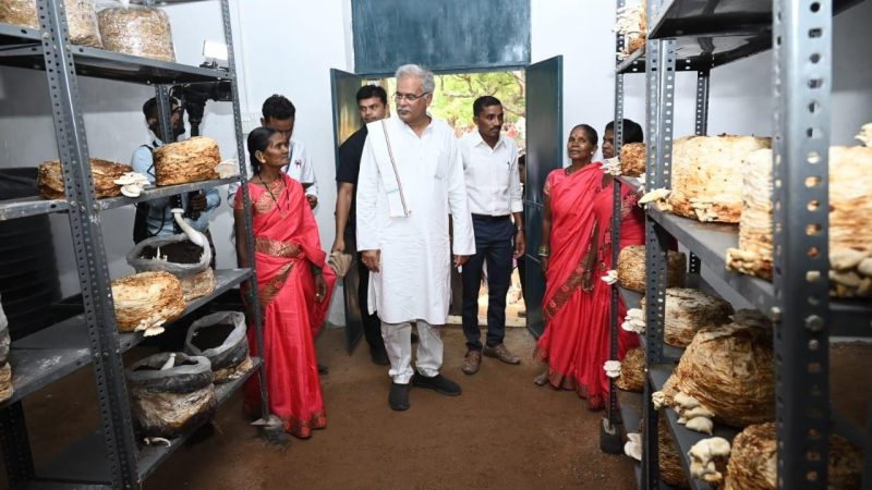 मुख्यमंत्री भूपेश बघेल ने गांधी ग्राम में रागी प्रसंस्करण केंद्र और बकरी पालन इकाई का किया अवलोकन