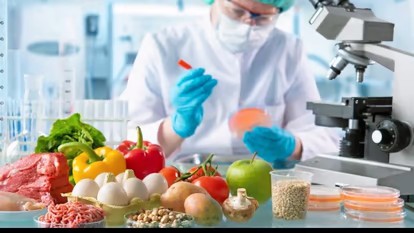 World Environment Day Special: कीटनाशकों के बढ़ते प्रयोग से ‘जहरीली’ हुई भोजन की थाली, कैंसर का खतरा भी बढ़ा