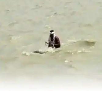 जबरदस्त वीडियो… गंगा की तेज धार में भी हाथी ने नहीं छोड़ा महावत का साथ