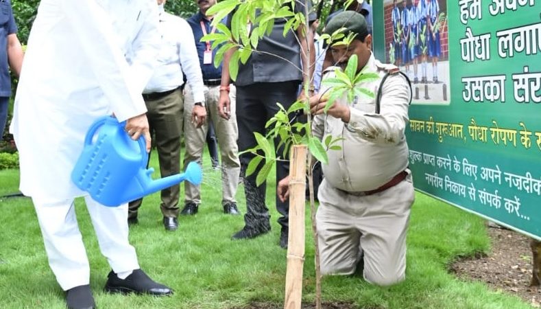 हर घर हरियाली अभियान : जिले में एक ही दिन में लगभग साढ़े तीन लाख पौधे रोपे गए