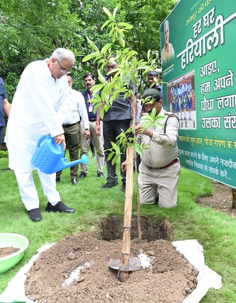 हर घर हरियाली अभियान : जिले में एक ही दिन में लगभग साढ़े तीन लाख पौधे रोपे गए