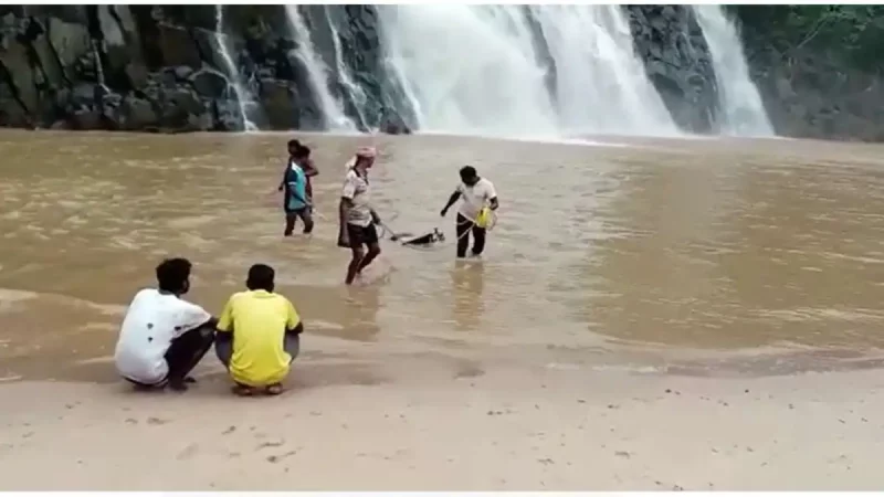 जलप्रपात में नहाने गए MP के 6 लोगों की डूबने से मौत,