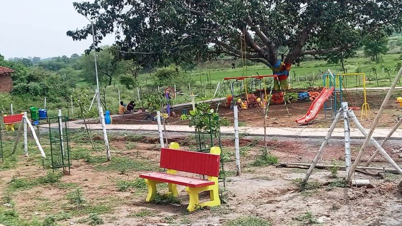 पारंपरिक महत्व के 200 पौधों के रोपण से सुशोभित हो रहा खैरागढ़ का कृष्ण कुंज