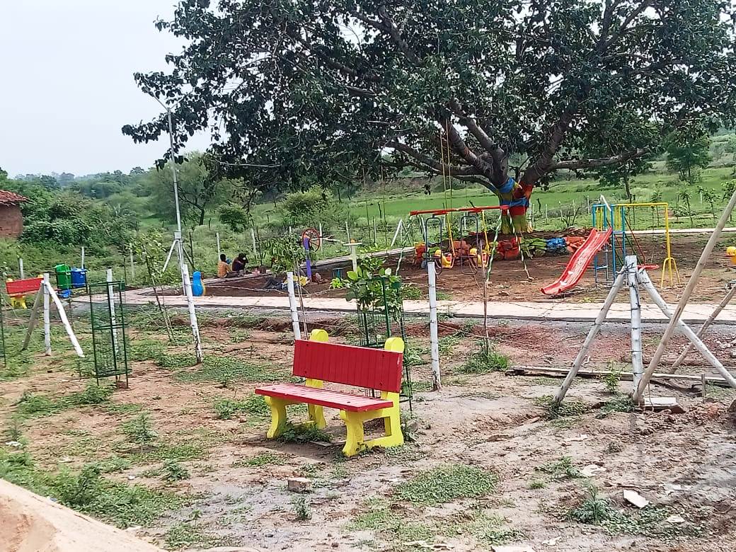 पारंपरिक महत्व के 200 पौधों के रोपण से सुशोभित हो रहा खैरागढ़ का कृष्ण कुंज