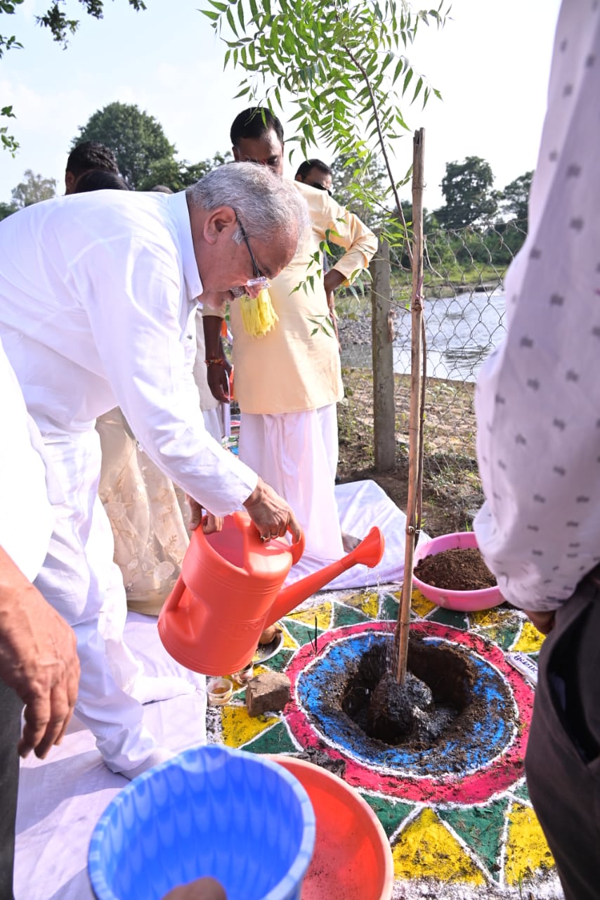 गोधन न्याय योजना से निकली राह, ग्रामीण को मिला आय का जरिया
