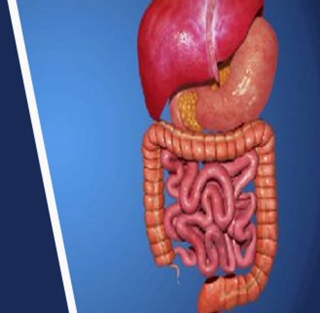 पाचन तंत्र कैसे करता है काम… कैसे रखें अपना पाचन तंत्र बेहतर