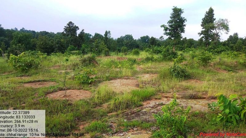 नदियों का तट हुआ हरा-भरा : 26 नदियों के तट पर लगाए गए 15 लाख से अधिक पौधे