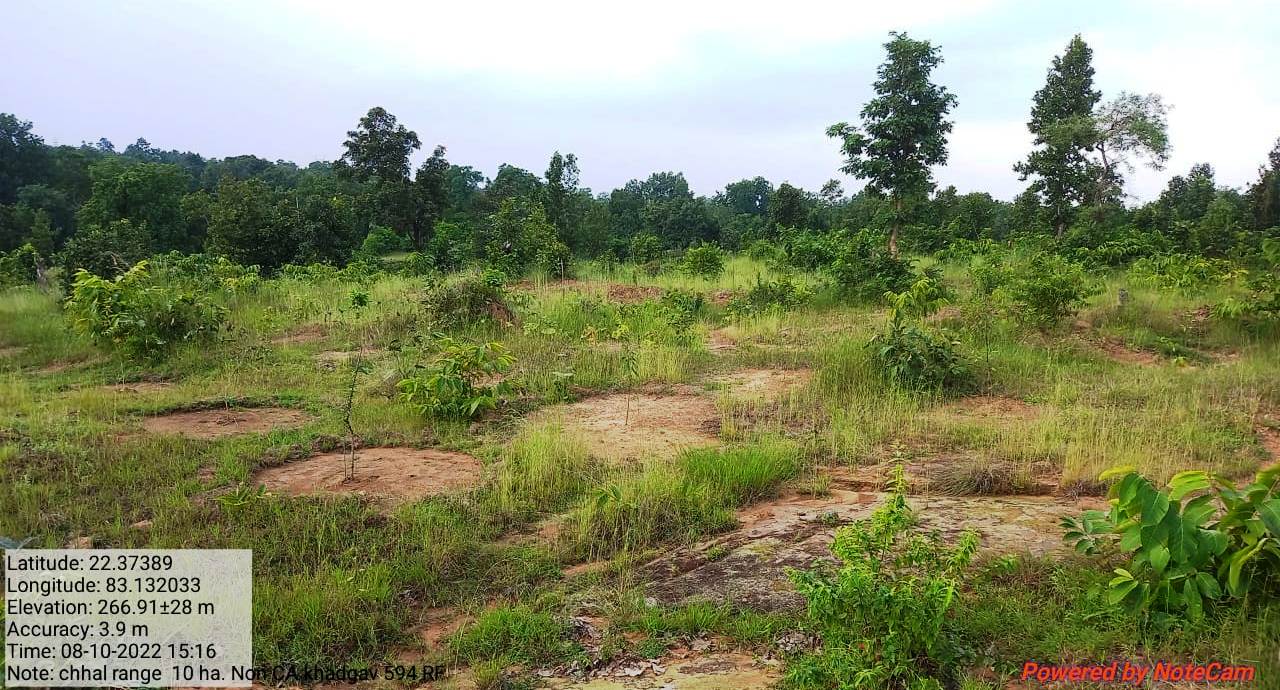 नदियों का तट हुआ हरा-भरा : 26 नदियों के तट पर लगाए गए 15 लाख से अधिक पौधे