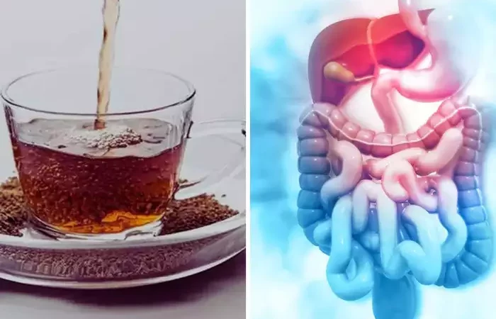 ठंड में अजवाइन पानी पीने के हैं कई फायदे, पेट दर्द समेत ये 6 रोग तुरंत छोड़ देते हैं शरीर