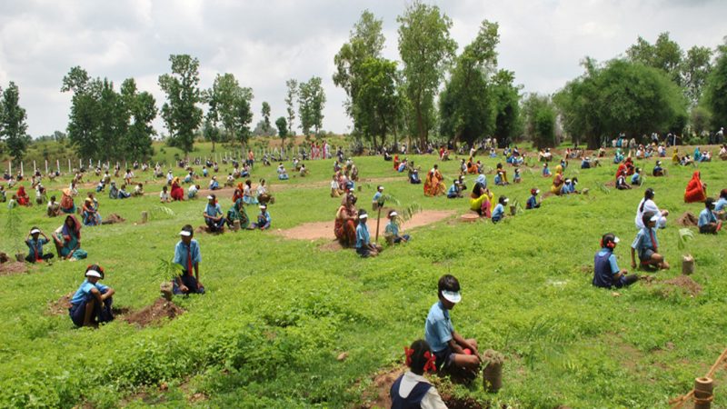 विशेष लेख : छत्तीसगढ़ में हरियाली के साथ बढ़ेगी किसानों की आय