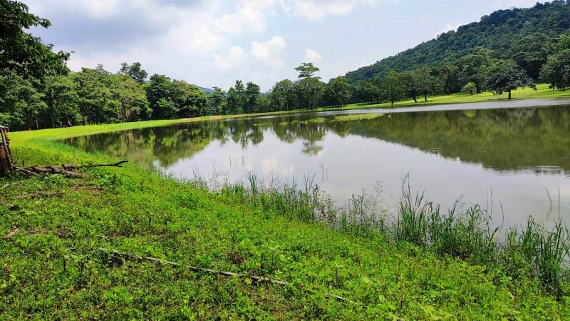 वन्य प्राणियों के पीने के पानी के लिए जंगलों में बनाई जा रही है वाटर हार्वेस्टिंग संरचनाएं