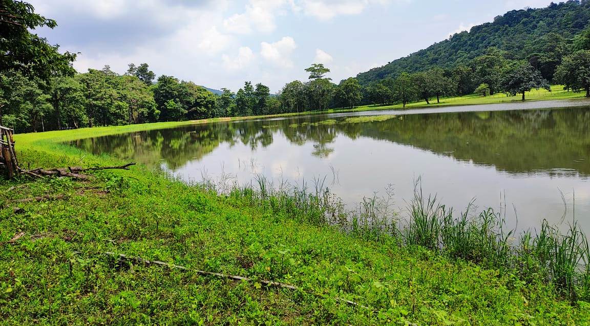 वन्य प्राणियों के पीने के पानी के लिए जंगलों में बनाई जा रही है वाटर हार्वेस्टिंग संरचनाएं