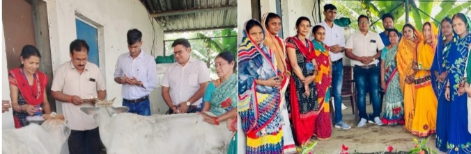 बिलासपुर जिले के गोठानों में उत्साह से मनाया गया गोठान दिवस