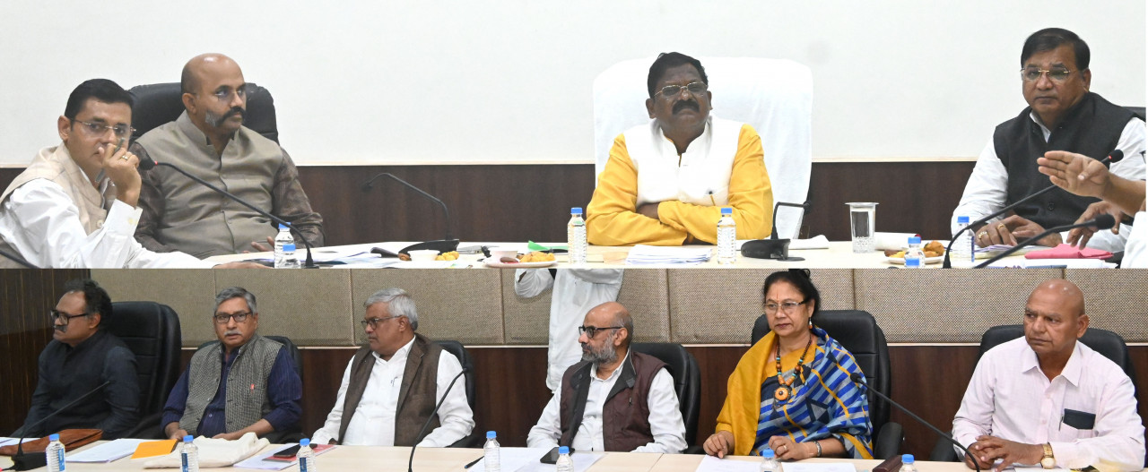 विलुप्त हो रही देवार शैलियों को संजोया जाए: मंत्री भगत