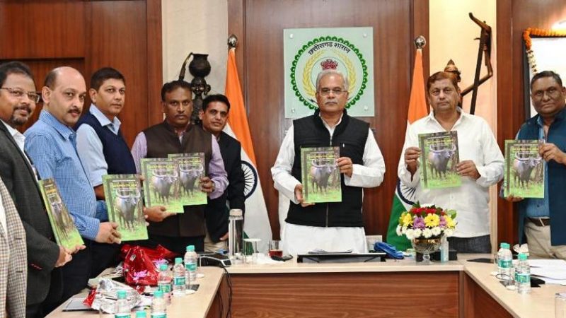 मुख्यमंत्री भूपेश बघेल ने राजकीय पशु जंगली भैंसों के संरक्षण पर लिखी विशेष पुस्तक का किया विमोचन