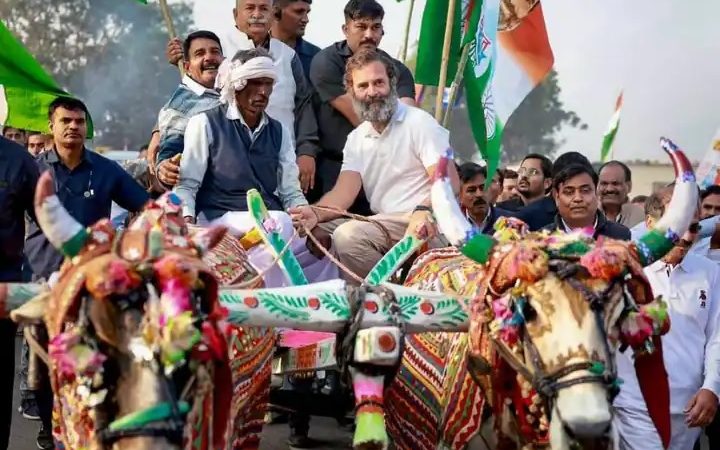 भारत जोड़ो यात्रा में राहुल गांधी ने चलाई बैलगाड़ी