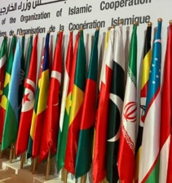 भारत ने इस्लामिक देशों के संगठन को लगाई फटकार