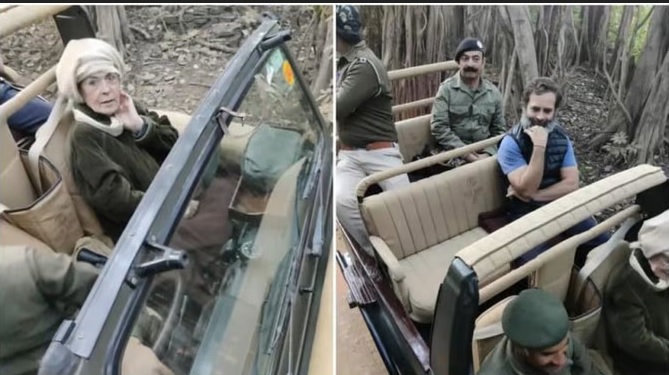 रणथंभौर पार्क में जीप सफारी का आनंद लेती दिखीं सोनिया