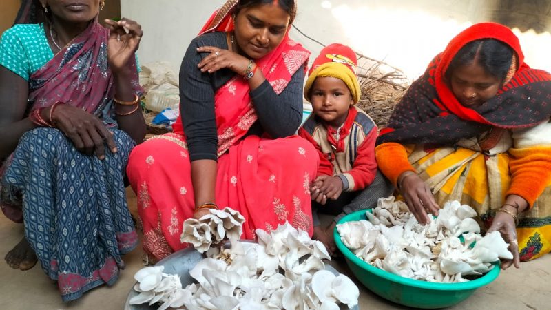 सोनमती ने लिखी आत्मनिर्भरता की नई कहानी, मशरूम की खेती कर कमाए 7 लाख रुपये