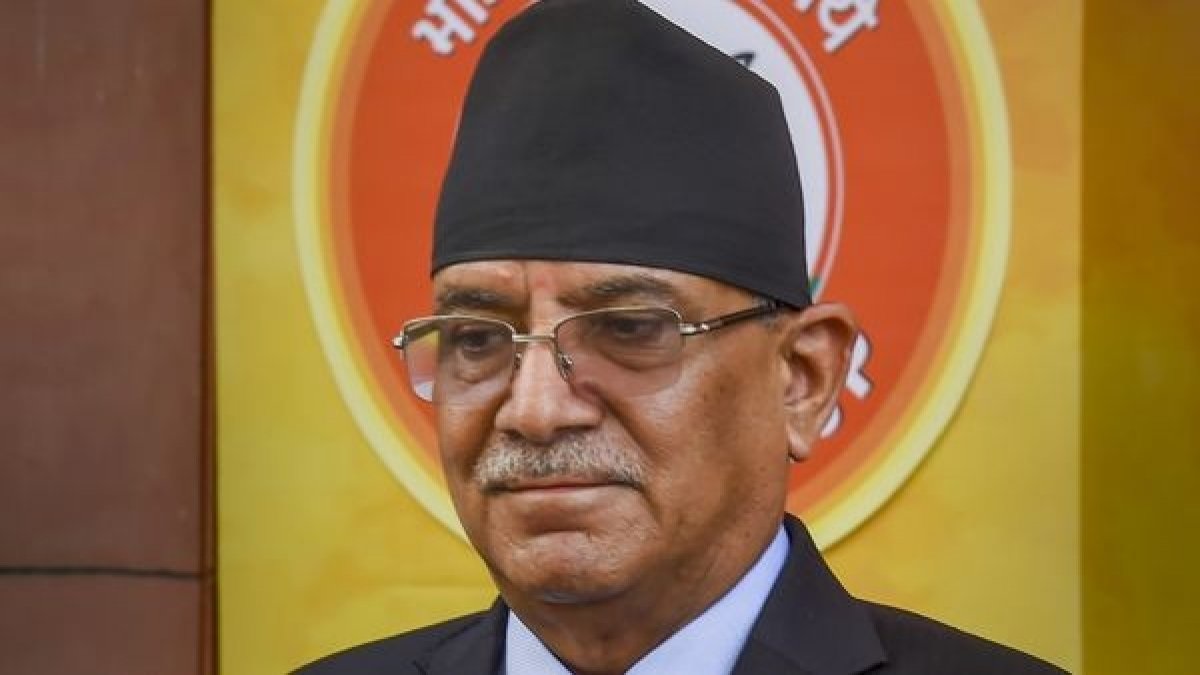 99 फीसदी सांसदों ने 32 सीटों वाले प्रचंड को दिया समर्थन, नेपाल में दहल ने जीता विश्वासमत, बने प्रधानमंत्री