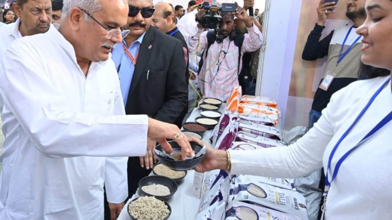 मिलेट कार्निवाल: छत्तीसगढ़ सहित 7 राज्यों के स्टार्टअप द्वारा लगाए गए मिलेट के स्टॉल