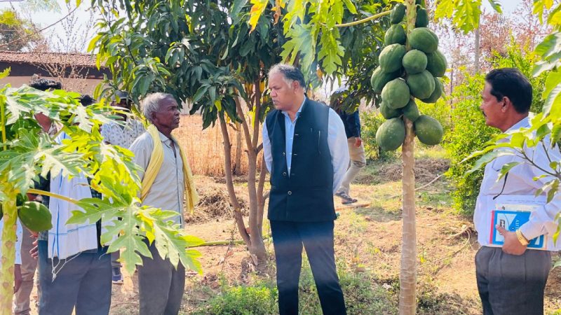 अपने फलोद्यान और सब्जी बाड़ी में कलेक्टर को देखकर किसान हुए प्रसन्न