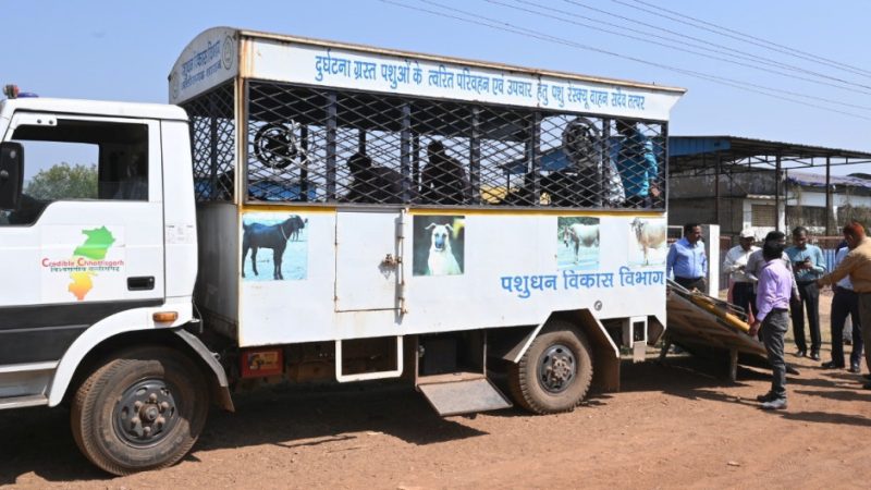 उस्मानाबादी ब्रीड से बढ़ेगी किसानों की आमदनी