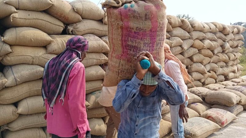 तेजी से खाली होने लगे धान खरीदी केन्द्र :100 लाख 25 हजार मेट्रिक टन धान का हो चुका उठाव