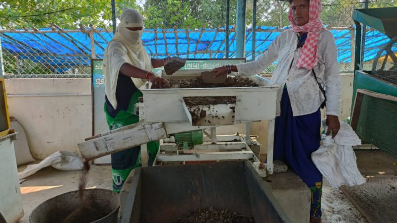 अब महिलाओं के लिए गोबर बना आय का नया जरिया : छत्तीसगढ़ में महिला समूहों ने बेचा 198 करोड़ रूपए का वर्मी कम्पोस्ट