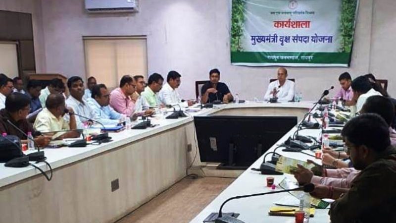 मुख्यमंत्री वृक्ष संपदा योजना : 5 एकड़ में वृक्षारोपण करने पर मिलेगा शत् प्रतिशत अनुदान