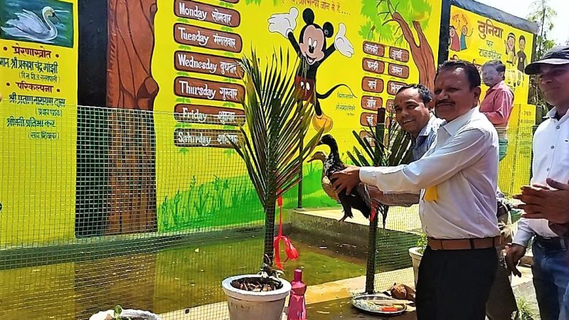 विशेष लेख : स्कूली शिक्षा में आ रहा बदलाव