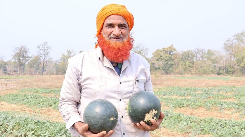 खीरा, ककड़ी, तरबूज, लौकी जैसे फसलों से खेती में आयी हरियाली