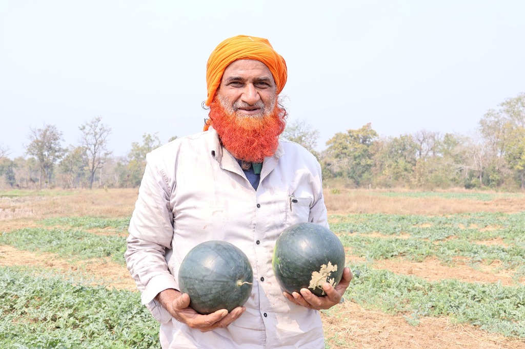 खीरा, ककड़ी, तरबूज, लौकी जैसे फसलों से खेती में आयी हरियाली