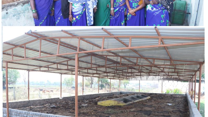 उत्तर बस्तर कांकेर : शहरी गौठानों के लिए उदाहरण बन सकता है चारामा का गौठान