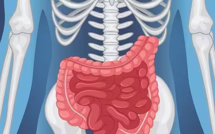 पेट के आसपास बननी लगे चर्बी तो हो जाएं अलर्ट? हो सकता है बड़ी आंत का कैंसर